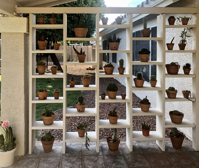 I’m Proud Of The Shelves I Built To Display My Wife’s Ca