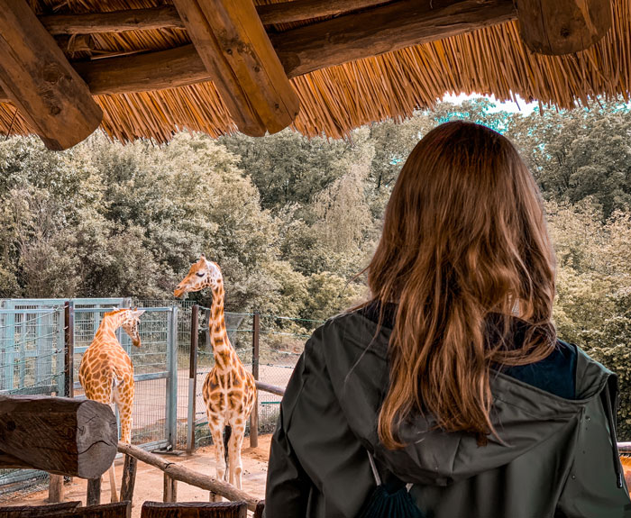 If Our Whole Family Lived In A Zoo, What Kind Of Animals Would Each Person Be?