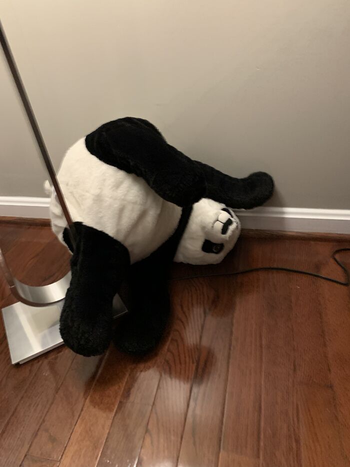 My Stuffed Panda Fell Off The Couch And Landed Like This