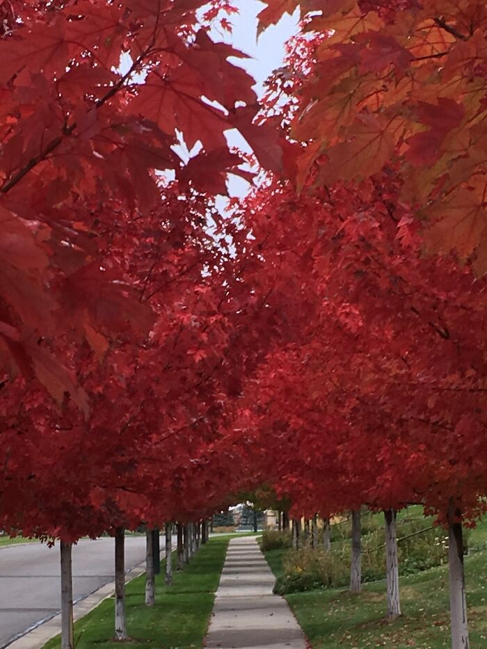 Autumn In Denver, Co