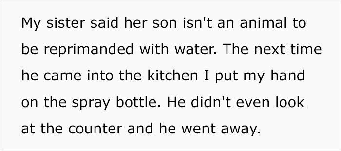 "He Is A Monster": Aunt Uses A Spray Bottle To Discipline Her "Rainbow Baby" Nephew Who Is Spoiled Beyond Belief, Causes Drama