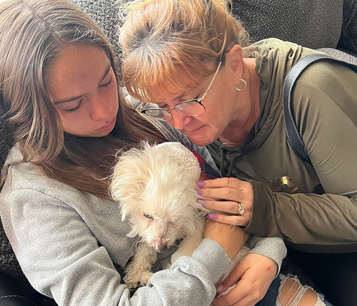 “He Had One Job!”: Husband Goes To Groomers, Comes Home With The Wrong Dog “He Had One Job!”: Husband Goes To Groomers, Comes Home With The Wrong Dog