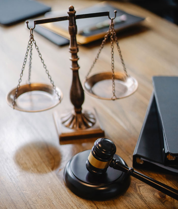 If You Could Make A Law, What Would It Be?