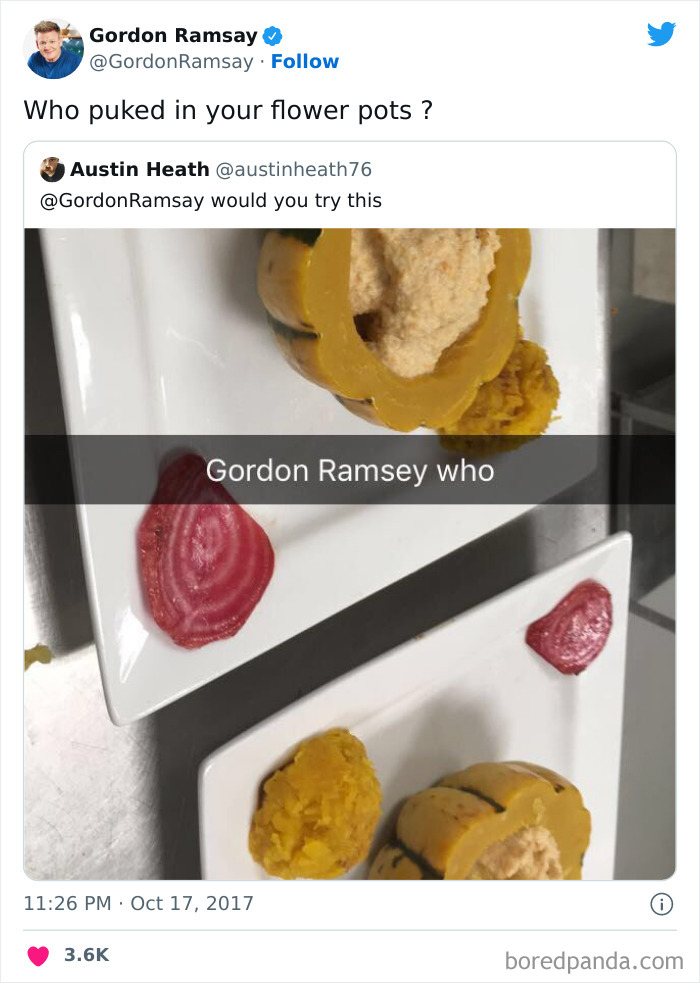 Gordon Ramsay Roasts