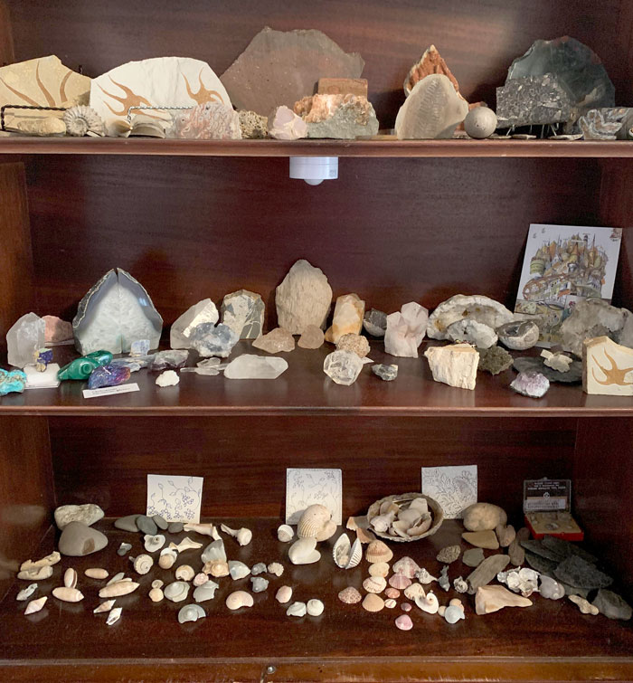 Crystal, Fossil, And Shell Collection