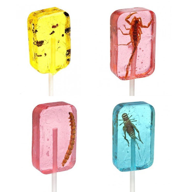 Insect Lollipops