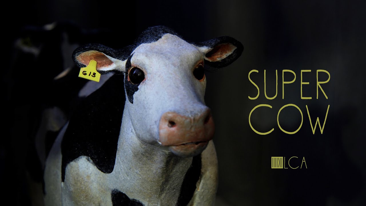 “Super Cow”: I Created A Stop-Motion Animation About A Dairy Cow Escaping From Slaughter