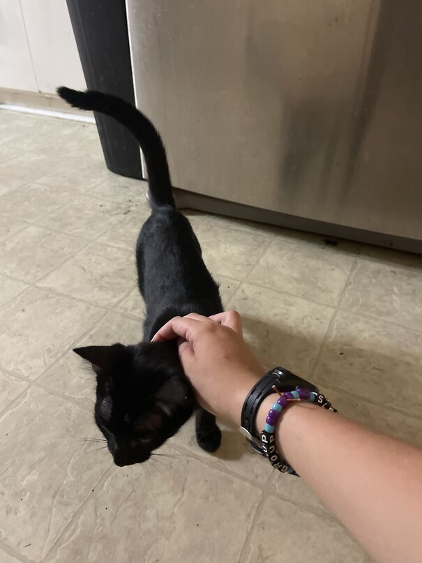 Only If You Don’t Mind :)