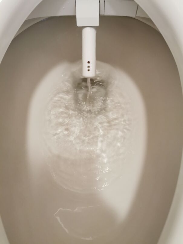 Bidet-wash-wand-635ea61ea6ec8-jpeg.jpg