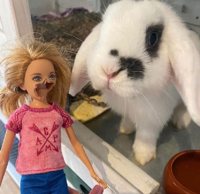 Parece que tiene un problema con Barbie