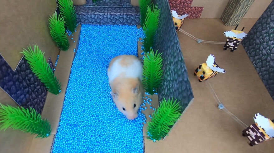 36 Million People Fell In Love With This Brave Hamster Video, Where He's Escaping From A Minecraft-Themed Prison Maze (15 Pics) 36 Million People Fell In Love With This Brave Hamster Video, Where He's Escaping From A Minecraft-Themed Prison Maze (15 Pics)