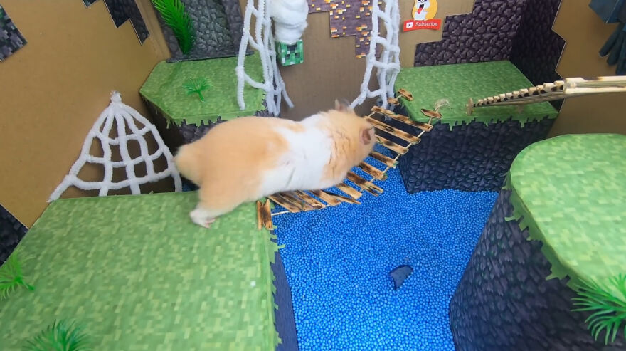 36 Million People Fell In Love With This Brave Hamster Video, Where He's Escaping From A Minecraft-Themed Prison Maze (15 Pics)