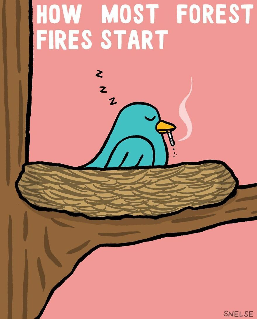 Cartoonist Steve Nelson Draws Comics That Are As Dry As They Are Funny (New Pics)