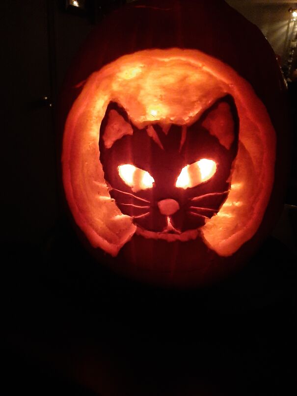 Cat-O-Lantern!