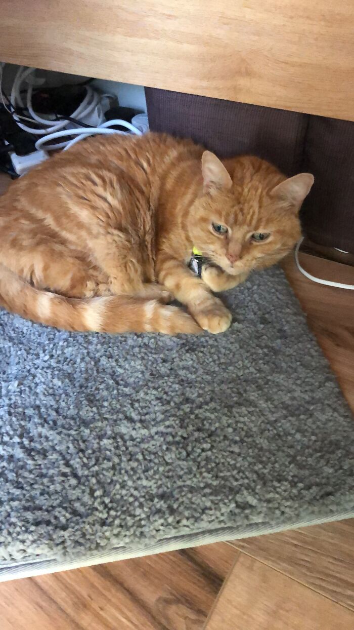 Not Very Strange But It’s Her Birthday Today!!