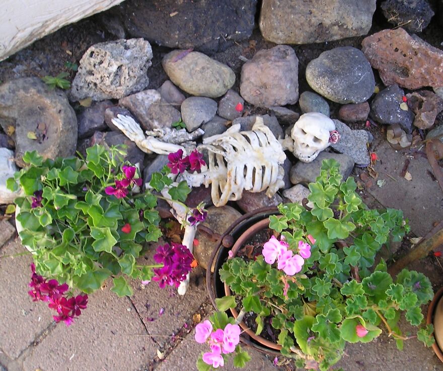 Feature Famous Artist: Genessa Kealoha