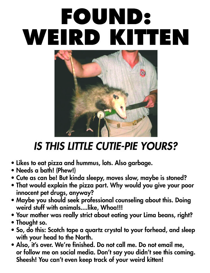 Fake Flyers To Mystify My Neighbors (7 Pics)