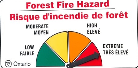 Forest-Fire-Hazard-6342304e2da39.jpg
