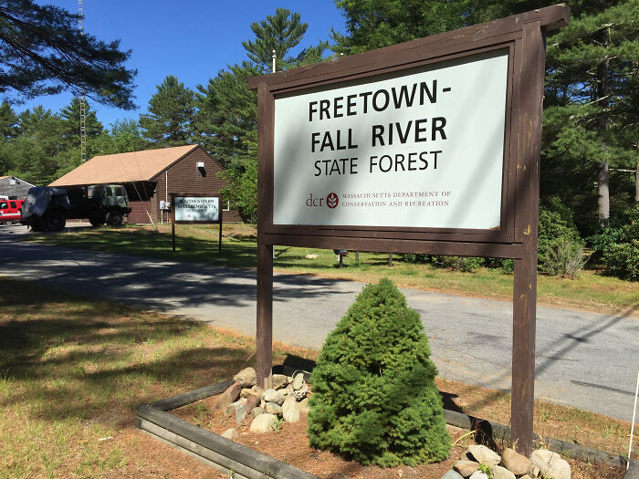 Freetown-Fall River State Forest, Massachusetts, USA