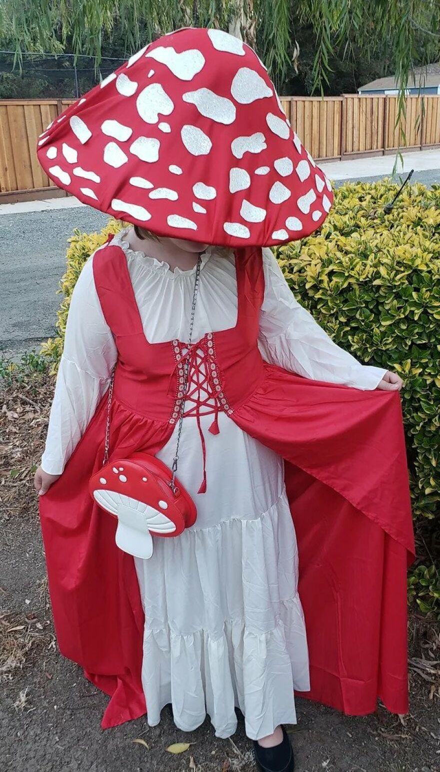 My Daughter's Mushroom Costume!