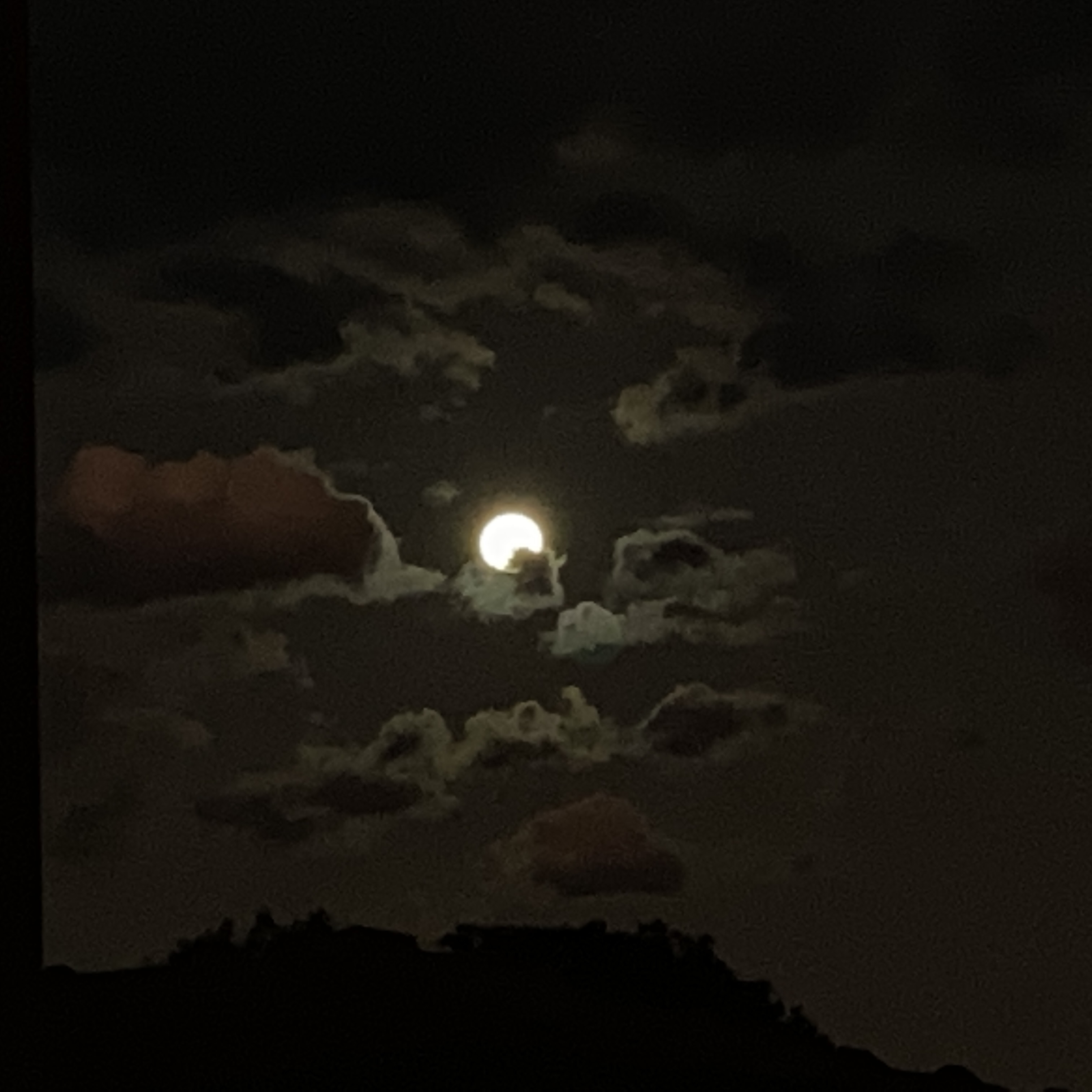 Hey Pandas, Show Us Your Favourite Photo