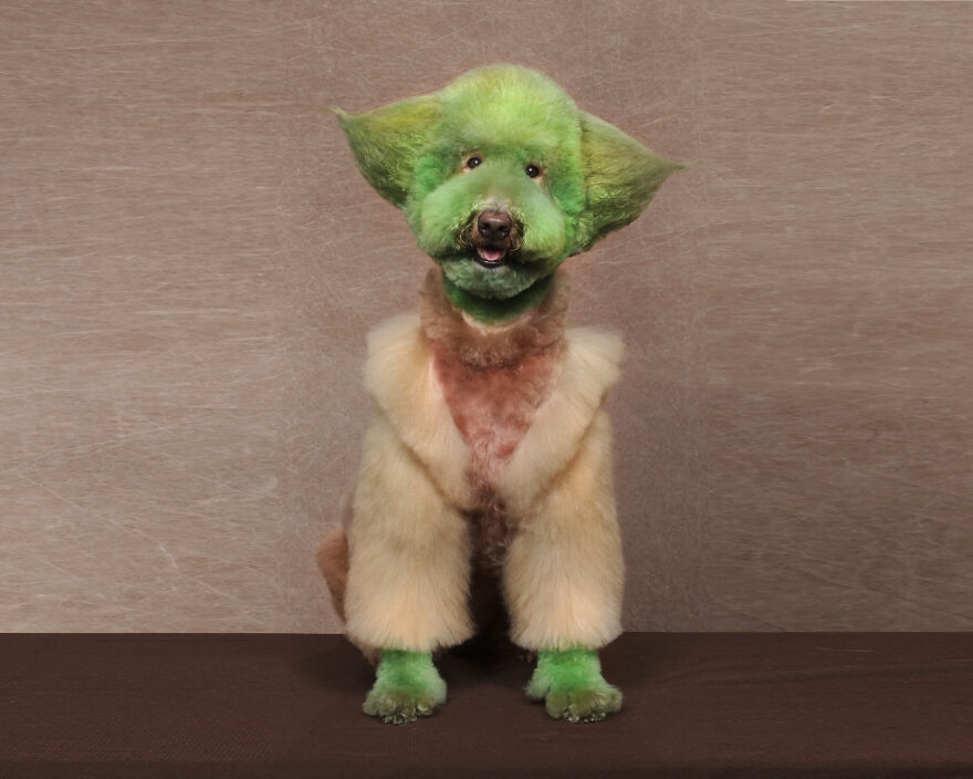 Alf, Mickey And The Other Dogs (2023) Alf, Mickey And The Other Dogs (2023)