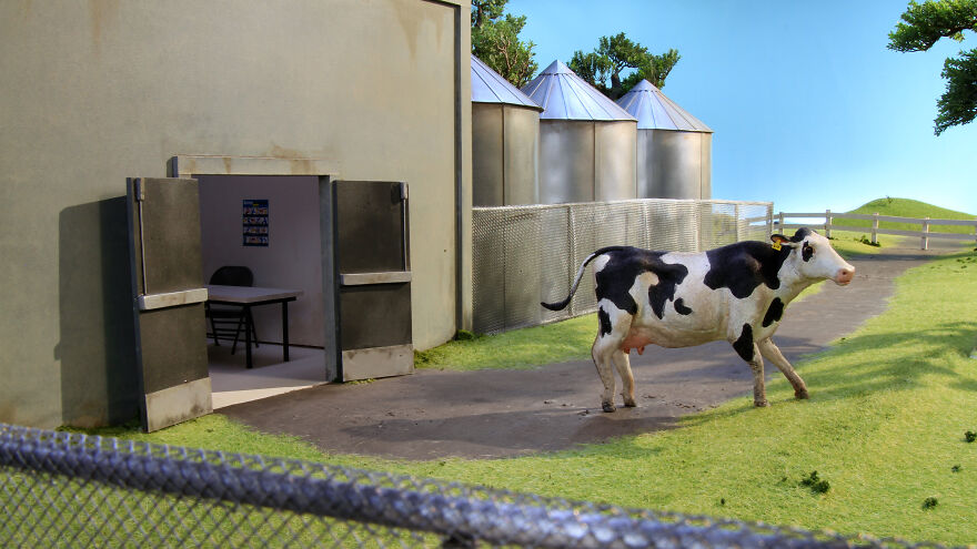 "Super Cow": I Created A Stop-Motion Animation About A Dairy Cow Escaping From Slaughter