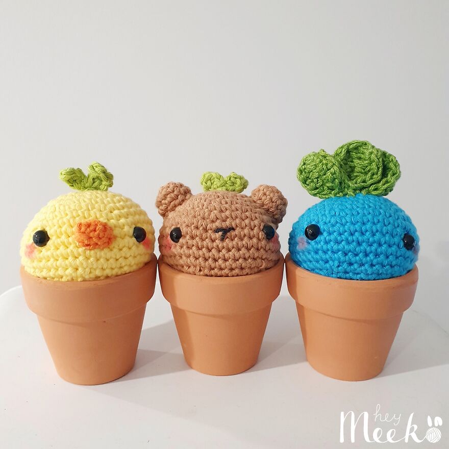 Crochet Pot Plant Sprout Buddies That Don't Need Water