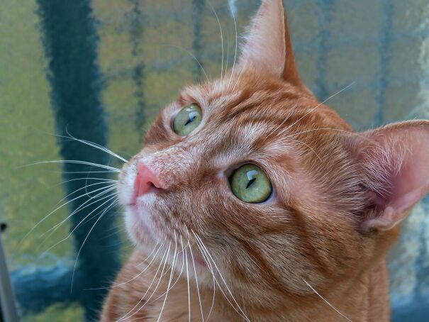 My Sweet Boy, Young Milenko💖