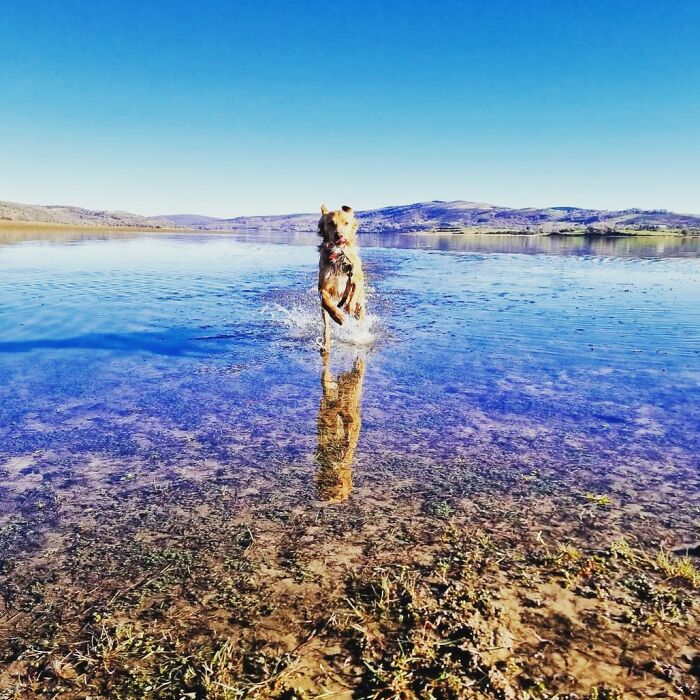 A Beautiful Lake. Campoo Enmedio, Spain