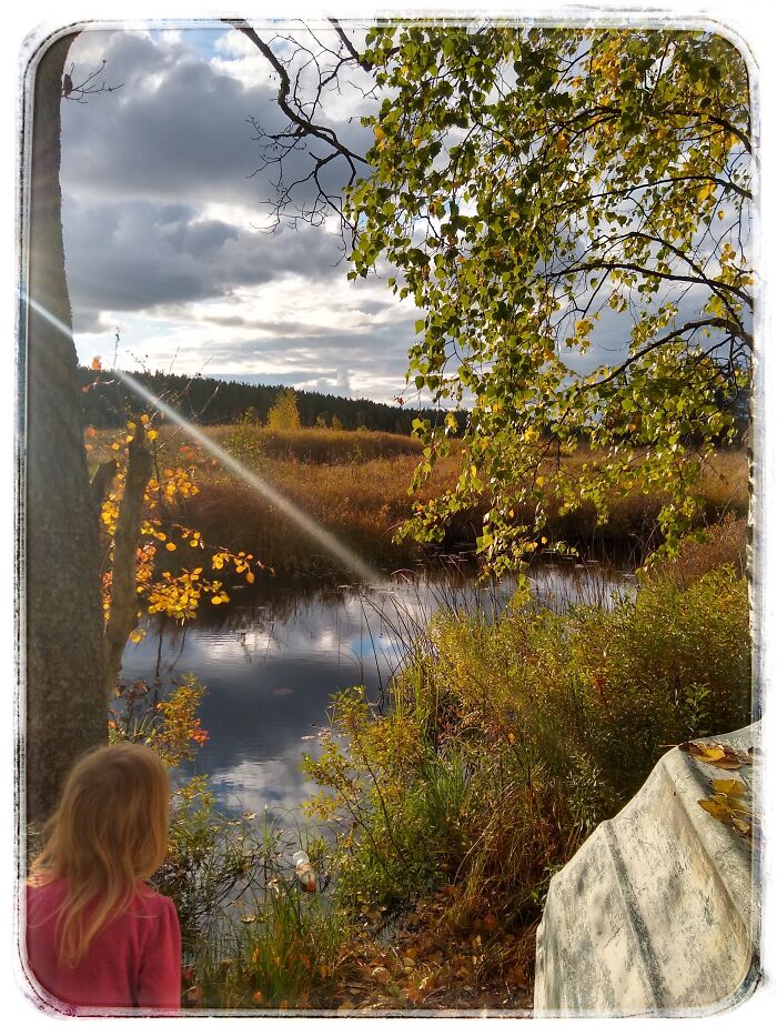 Forest Lakes, Sweden