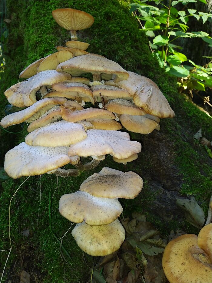 Valkenswaard, The Netherlands