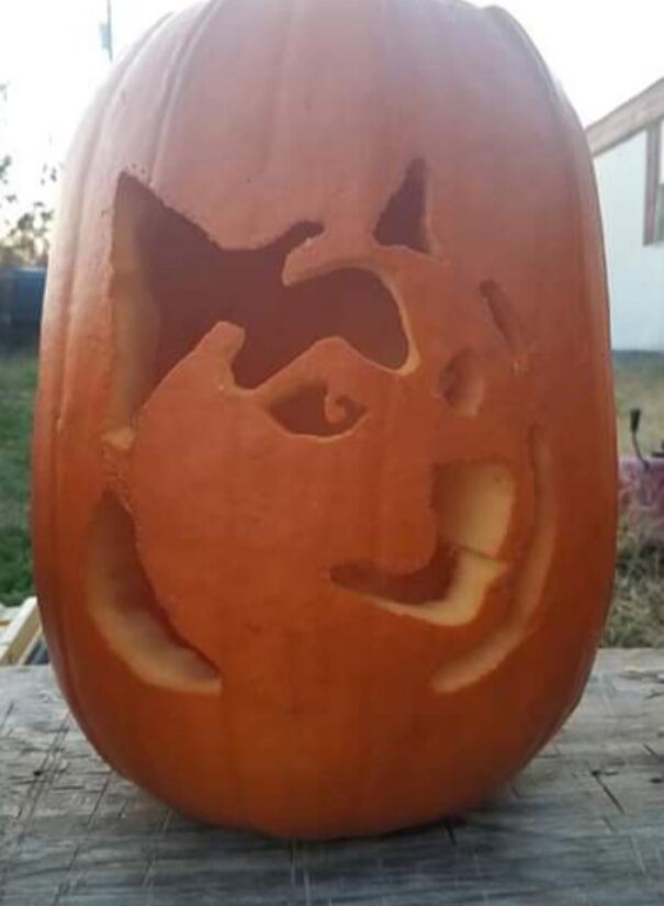 My Doge Pumpkin From Last Year!
