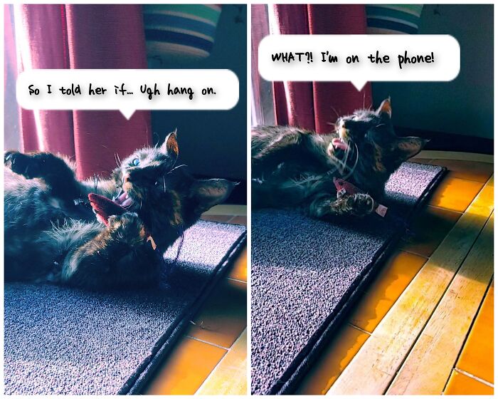 These Pictures That Look Like Cinder's On The Phone