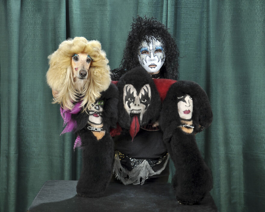 Alf, Mickey And The Other Dogs (2023) Alf, Mickey And The Other Dogs (2023)