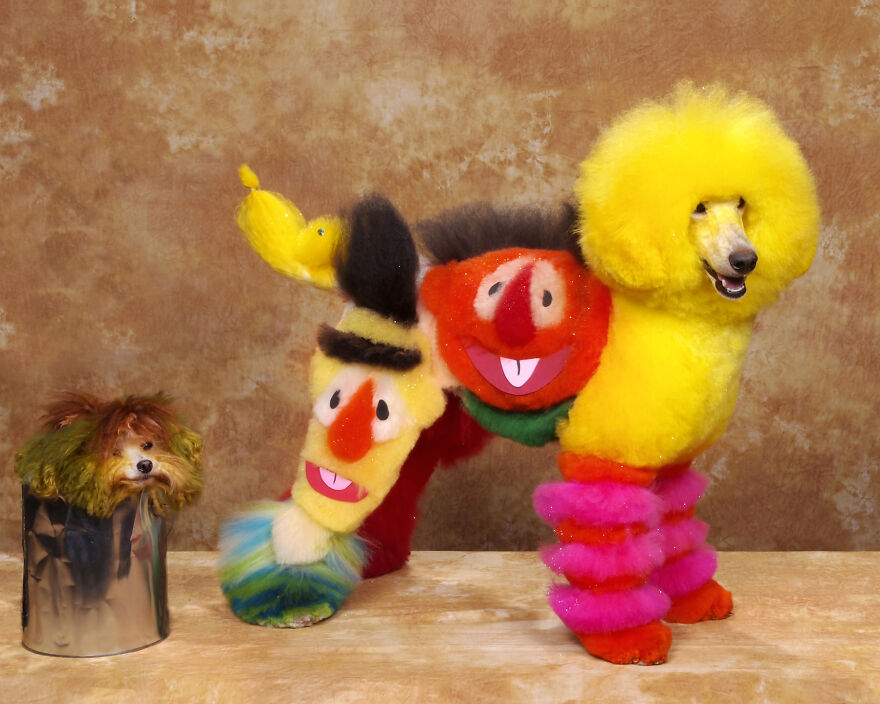 Alf, Mickey And The Other Dogs (2023) Alf, Mickey And The Other Dogs (2023)