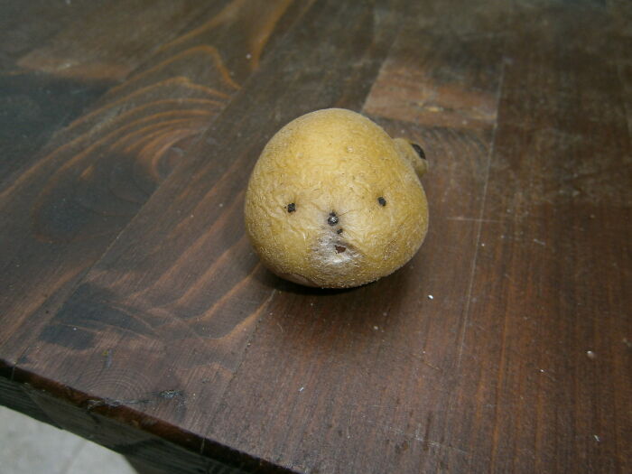 This Surprised Potato