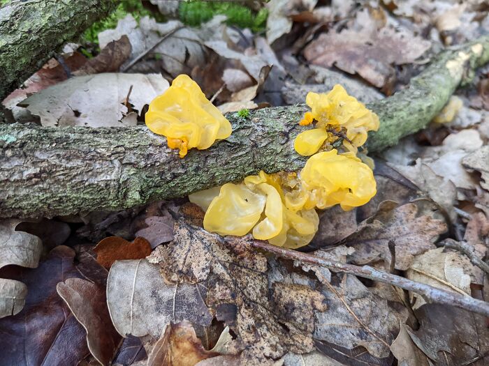 Brandenburg, Germany