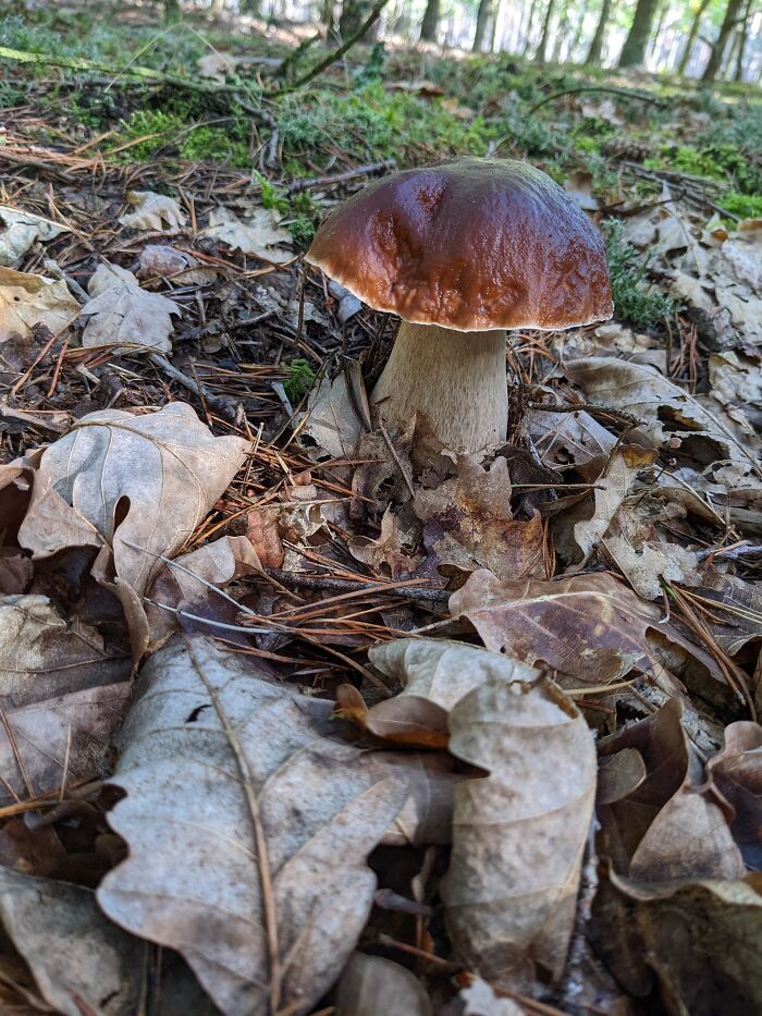 Brandenburg, Germany