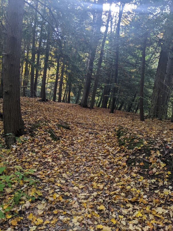 Fall In Pennsylvania