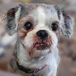 catiebrandyberry avatar