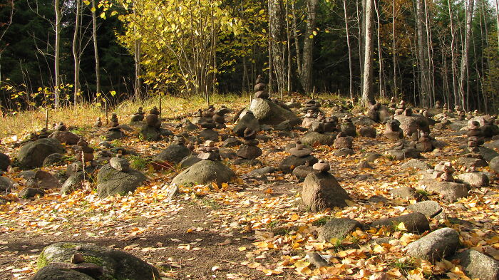 Pokaini Forest, Naudītes Pagasts, Latvia