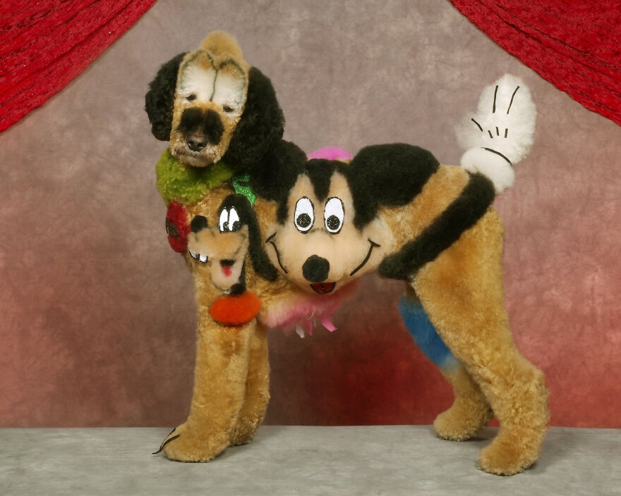 Alf, Mickey And The Other Dogs (2023)