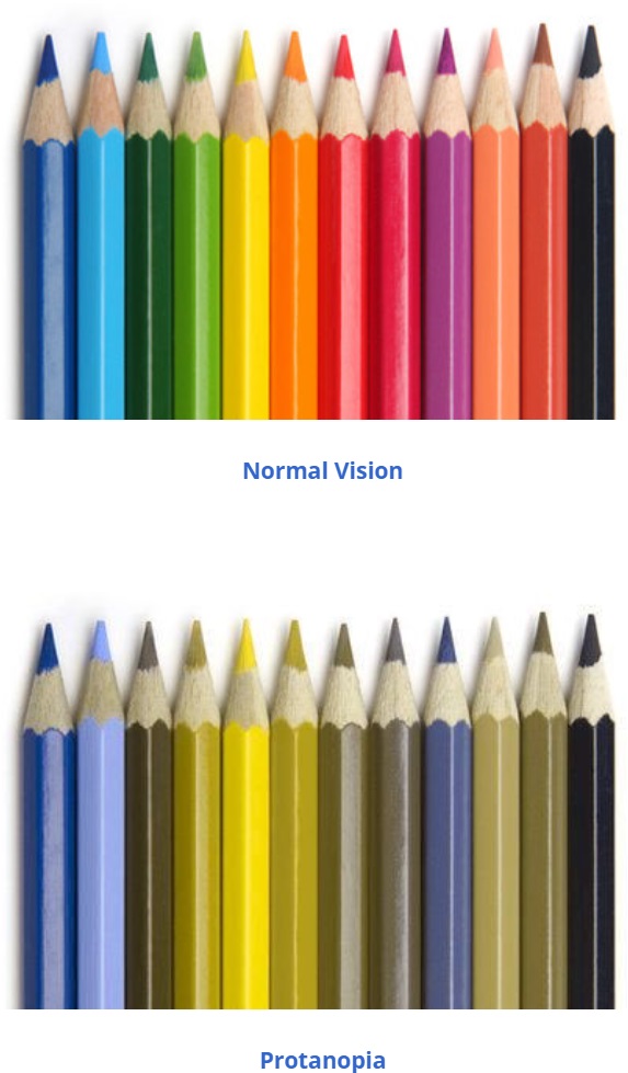 Protanopia-634710b60b37d.jpg