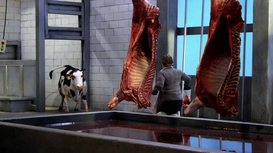 "Super Cow": I Created A Stop-Motion Animation About A Dairy Cow Escaping From Slaughter "Super Cow": I Created A Stop-Motion Animation About A Dairy Cow Escaping From Slaughter