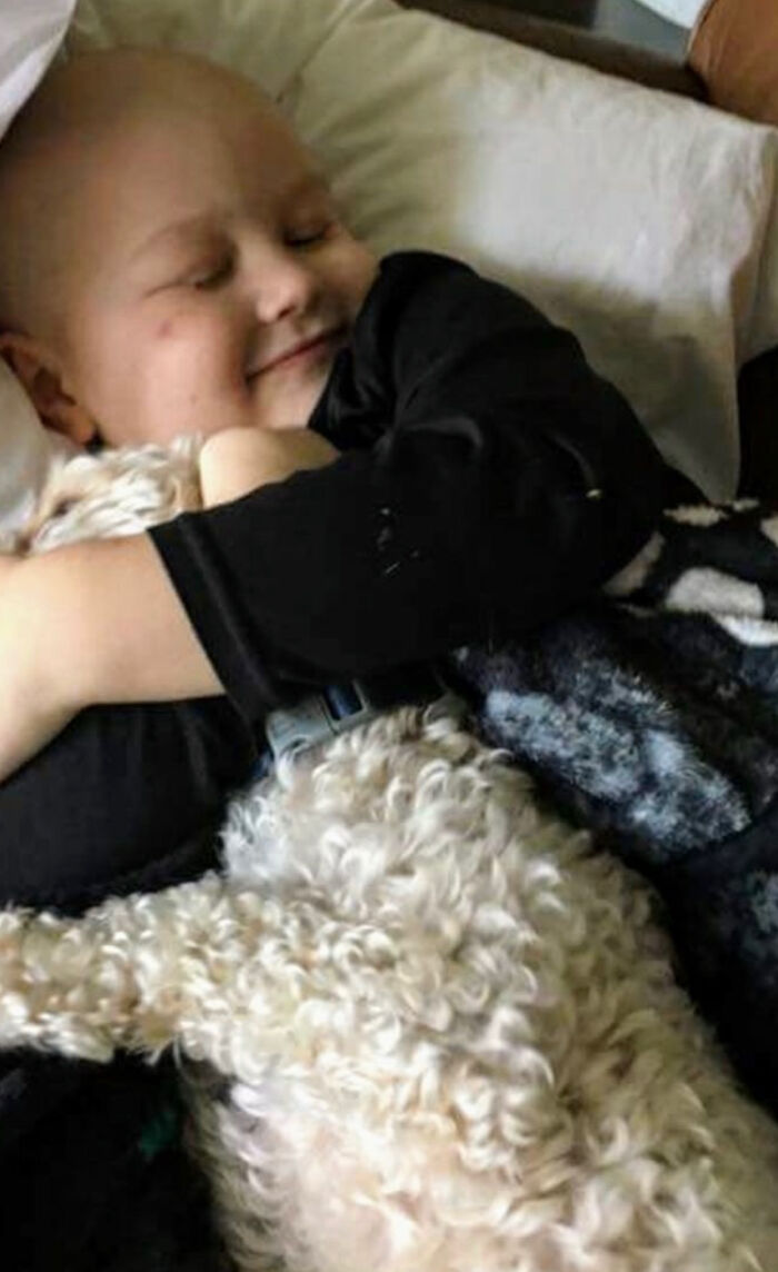 Dog Saved This Boy's Life (6 Pics) Dog Saved This Boy's Life (6 Pics)