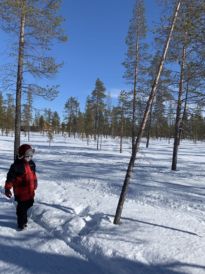 Dog Saved This Boy's Life (6 Pics) Dog Saved This Boy's Life (6 Pics)