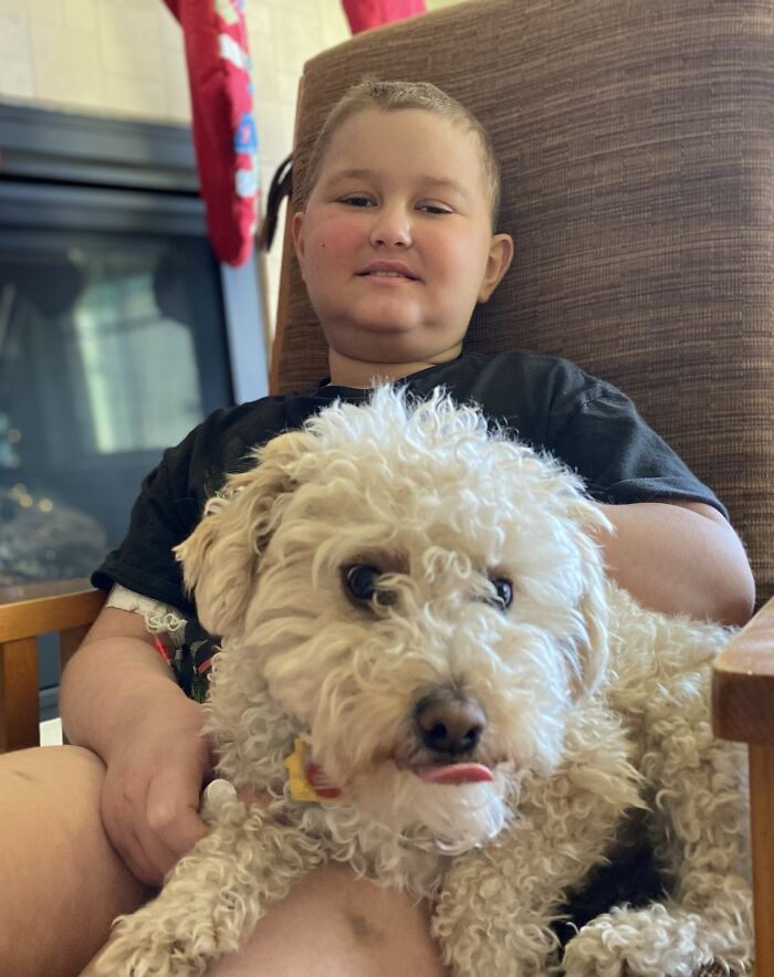 Dog Saved This Boy's Life (6 Pics) Dog Saved This Boy's Life (6 Pics)