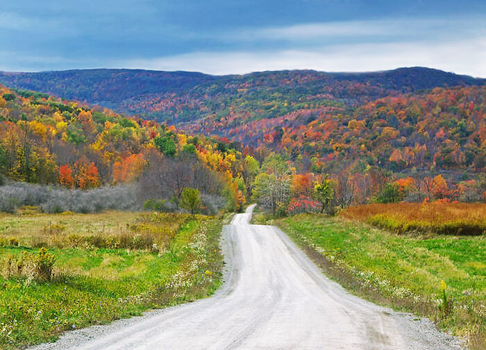 The Road That Leads To Autumn - Northern Pennsylvania