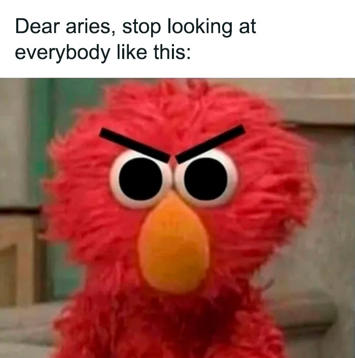 Meme about Aries angry looking
